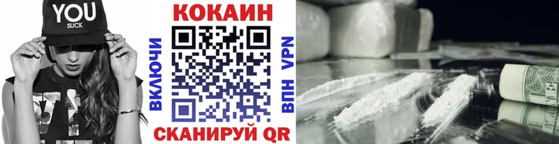 Кокаин Fish Scale  где купить   Весьегонск 