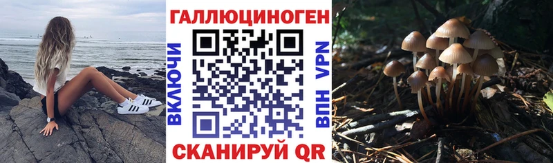 Псилоцибиновые грибы Psilocybine cubensis  маркетплейс наркотические препараты  Весьегонск 